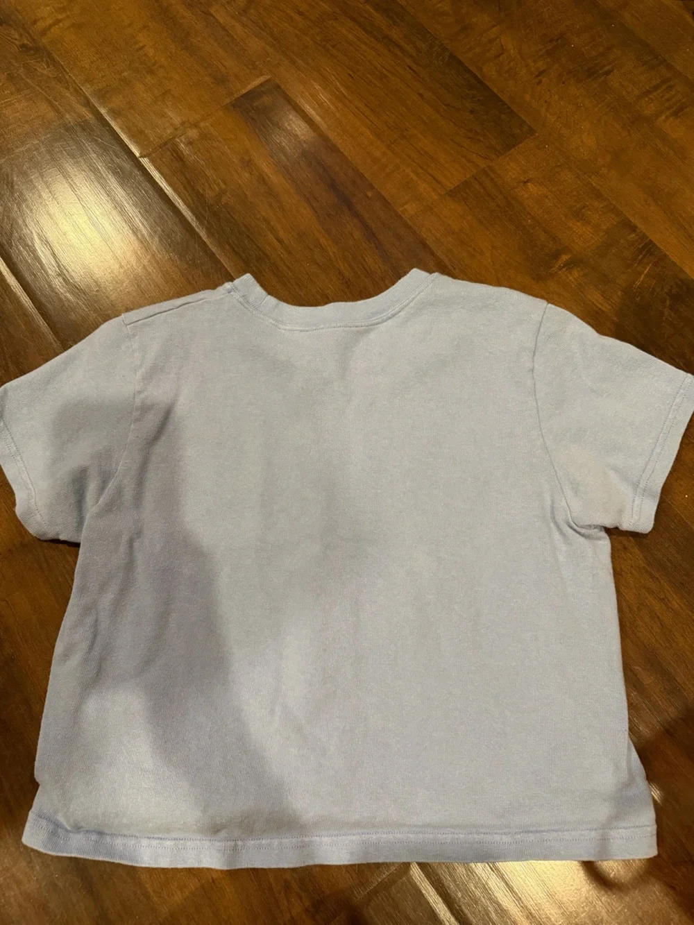 Brandy Melville Light Blue Malibu Graphic Tee